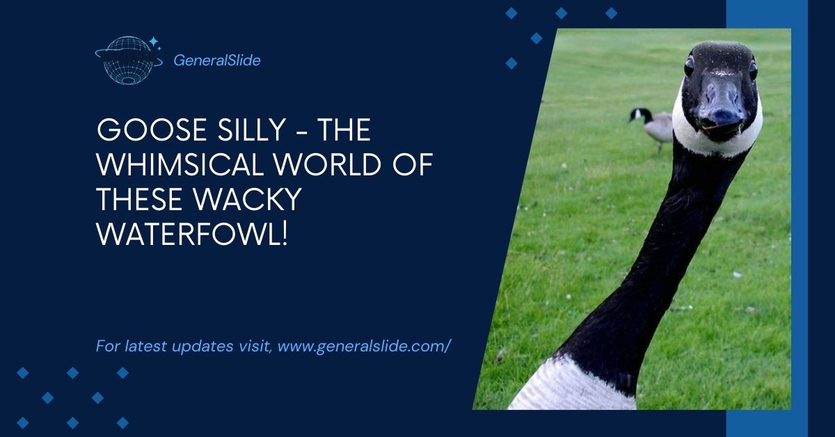 Goose Silly - The Whimsical World Of These Wacky Waterfowl!