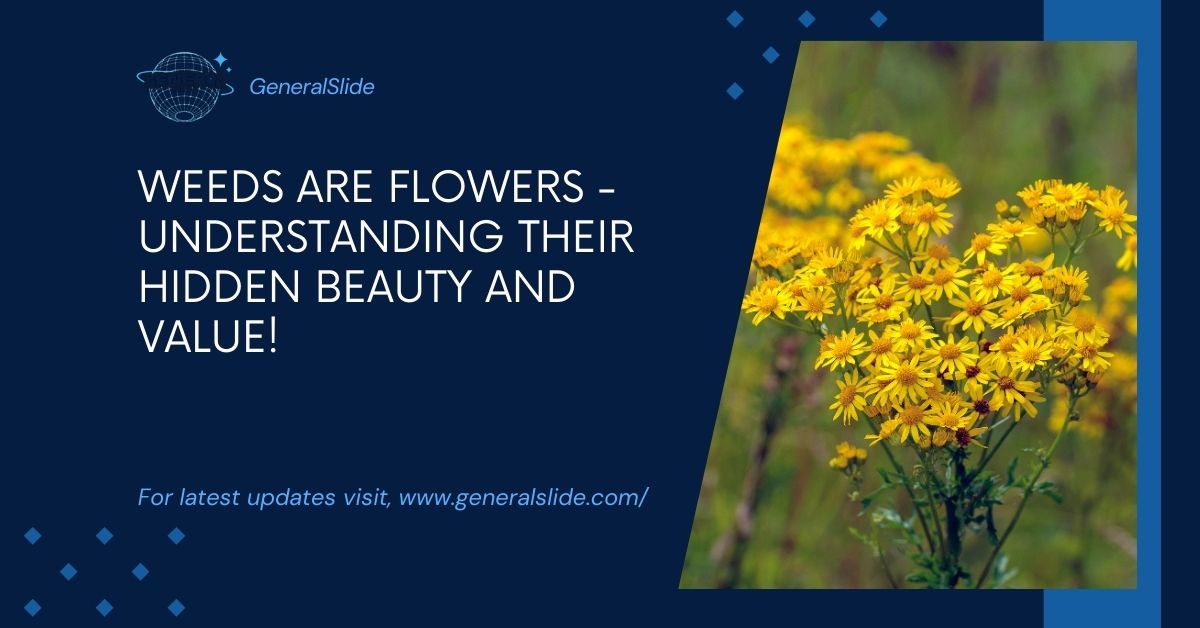 Weeds Are Flowers - Understanding Their Hidden Beauty And Value!