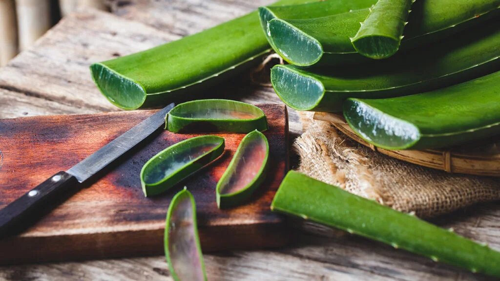 Why is Pure Aloe Vera Gel Important?