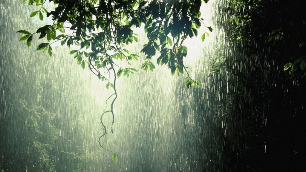 The Concept of Istisqa – The Prayer for Rain!